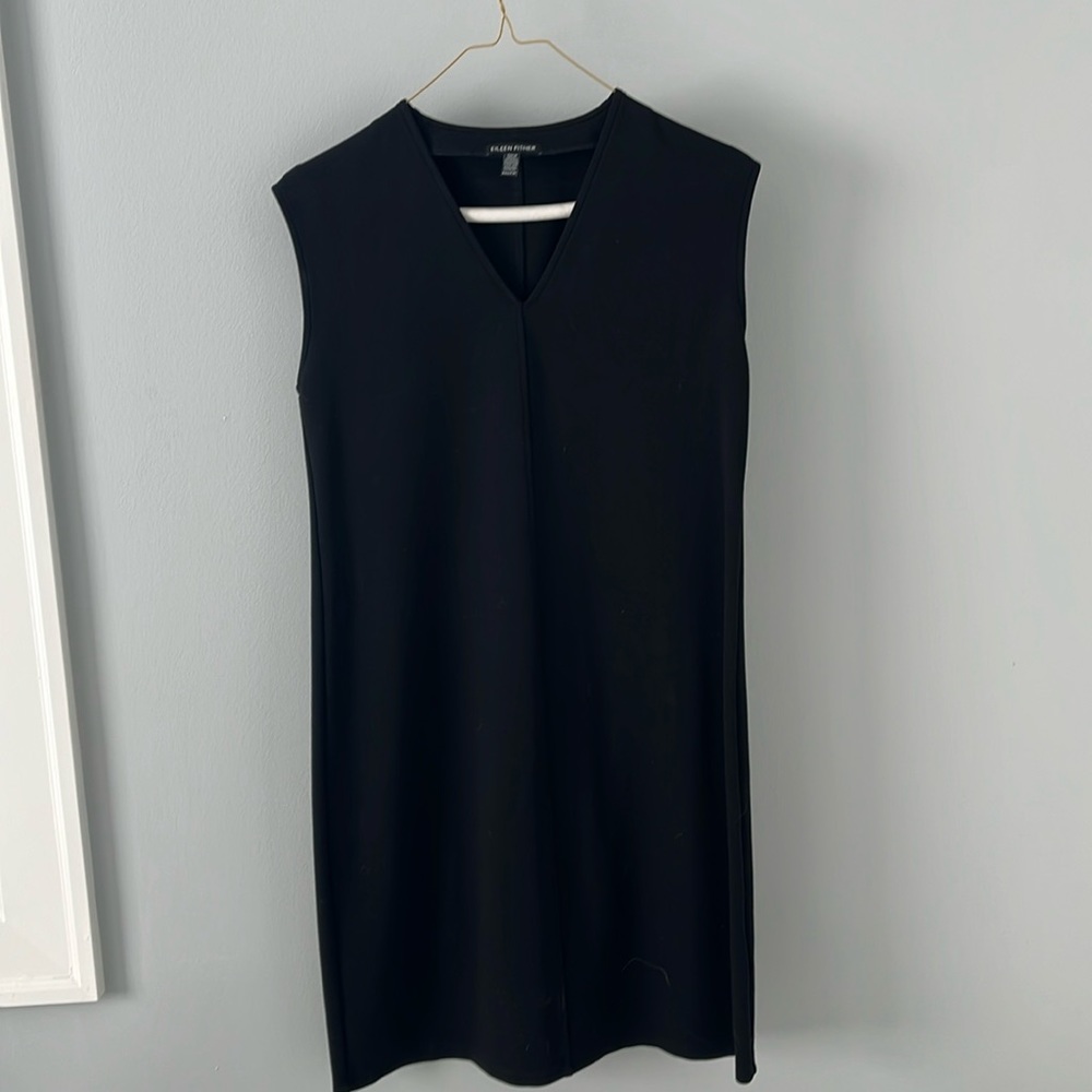 Eileen Fisher little black dress!